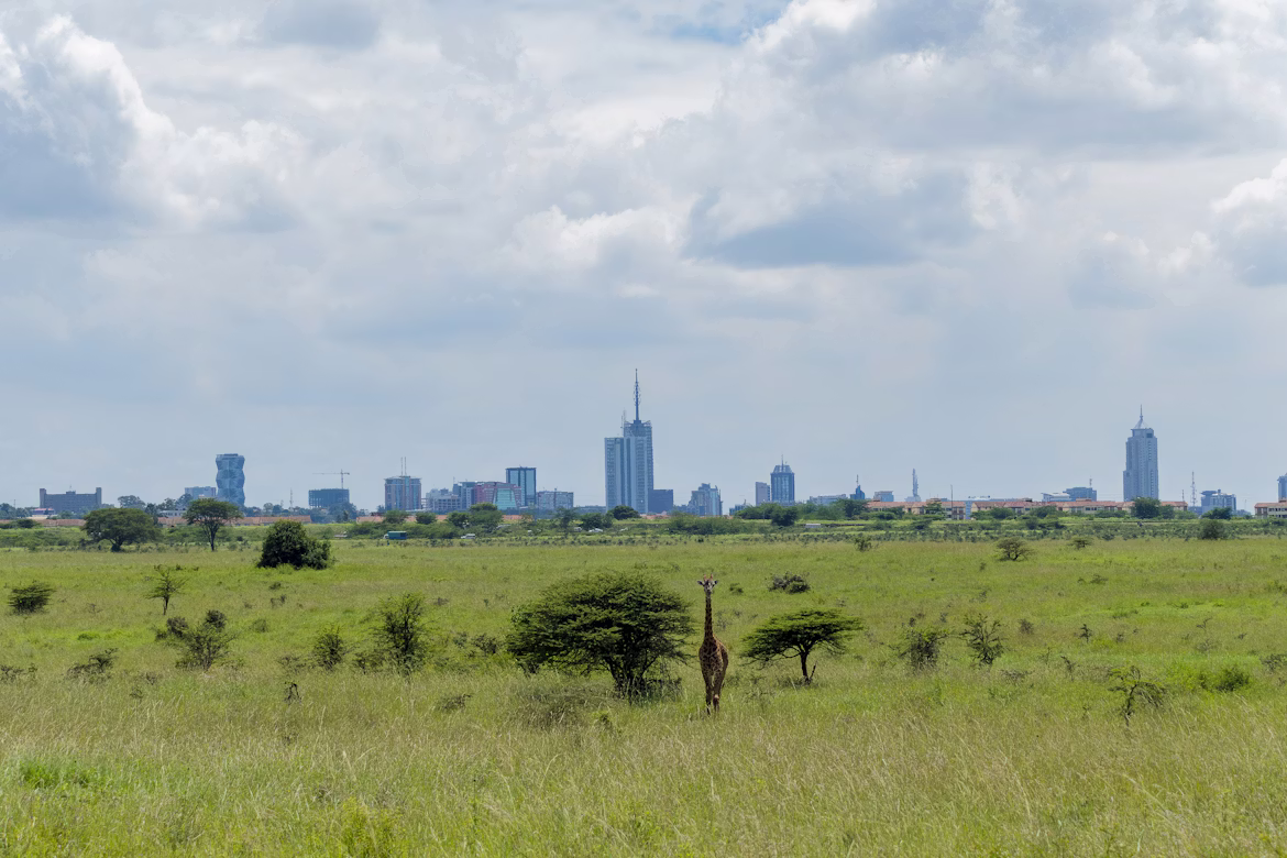 Nairobi National Park destination image